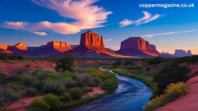 Big Bend National Park Photos