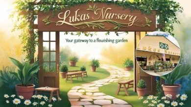 Lukas Nursery