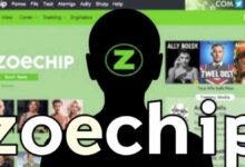 Zoechip Explained: What It Offers and What to Watch Out For