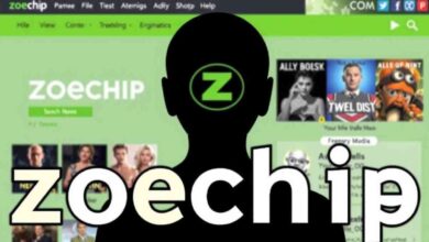 Zoechip Explained: What It Offers and What to Watch Out For