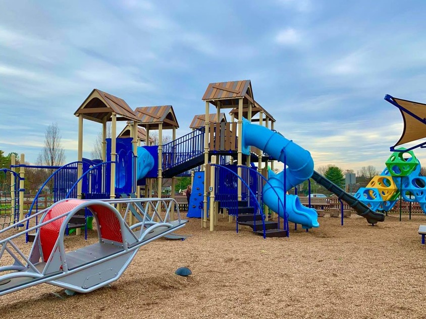 A Snapshot of Adams Ricci Park