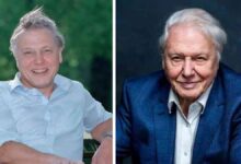 david attenborough net worth